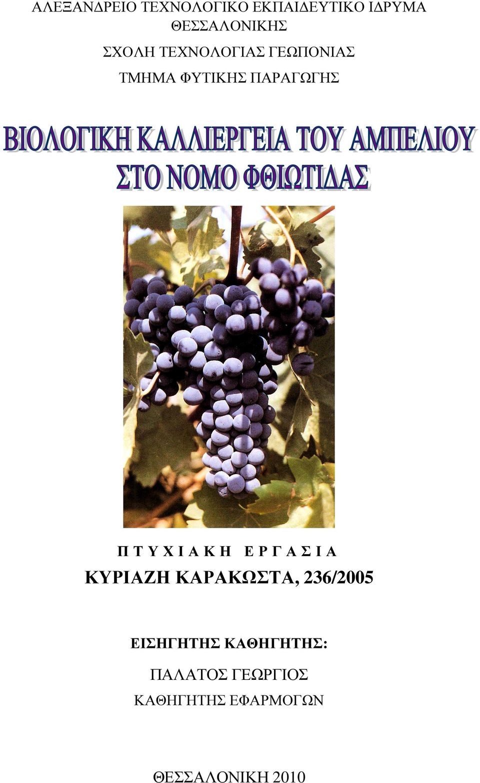 Ι Α Κ Η Ε Ρ Γ Α Σ Ι Α ΚΥΡΙΑΖΗ ΚΑΡΑΚΩΣΤΑ, 236/2005 ΕΙΣΗΓΗΤΗΣ