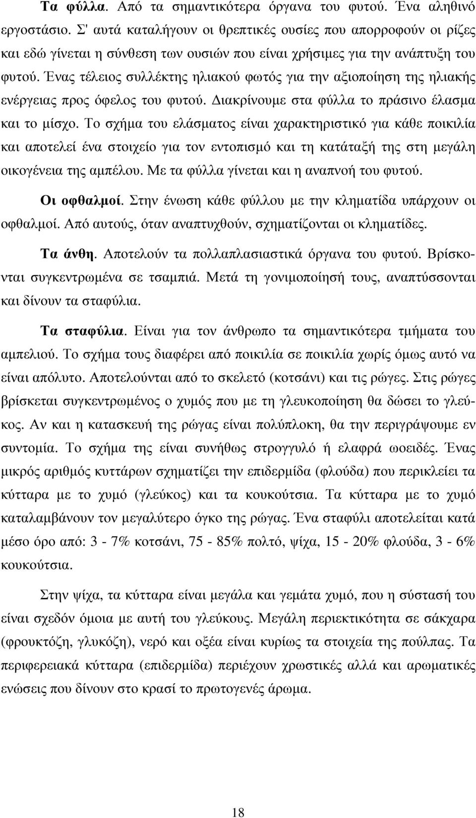 Ένας τέλειος συλλέκτης ηλιακού φωτός για την αξιοποίηση της ηλιακής ενέργειας προς όφελος του φυτού. ιακρίνουµε στα φύλλα το πράσινο έλασµα και το µίσχο.