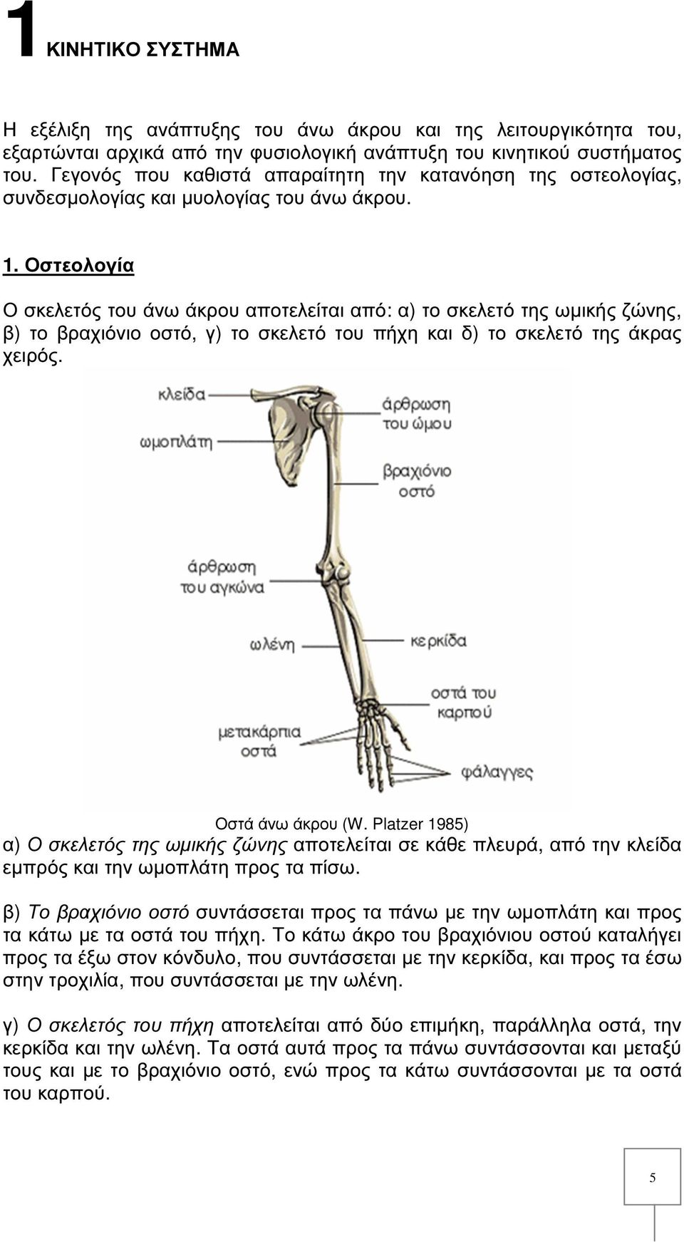 Οστεολογία Ο σκελετός του άνω άκρου αποτελείται από: α) το σκελετό της ωµικής ζώνης, β) το βραχιόνιο οστό, γ) το σκελετό του πήχη και δ) το σκελετό της άκρας χειρός. Οστά άνω άκρου (W.