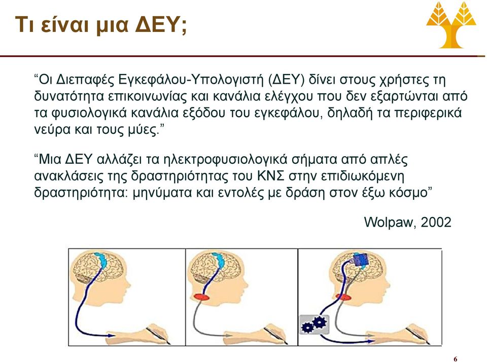 περιφερικά νεύρα και τους μύες.