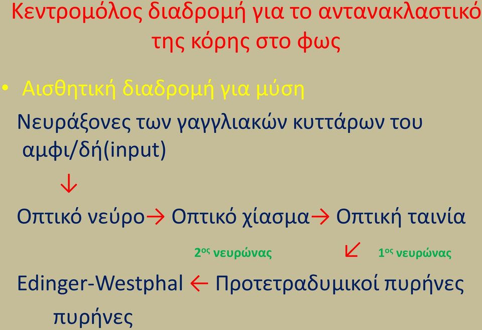 του αμφι/δι(input) Οπτικό νεφρο Οπτικό χίαςμα Οπτικι ταινία 2 οσ