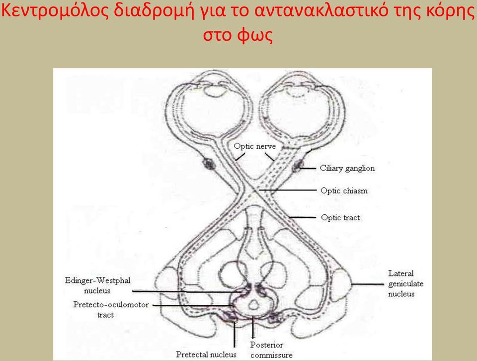 το