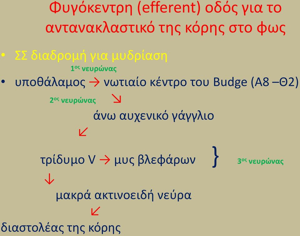 του Budge (Α8 Θ2) 2 οσ νευρώνασ άνω αυχενικό γάγγλιο τρίδυμο V