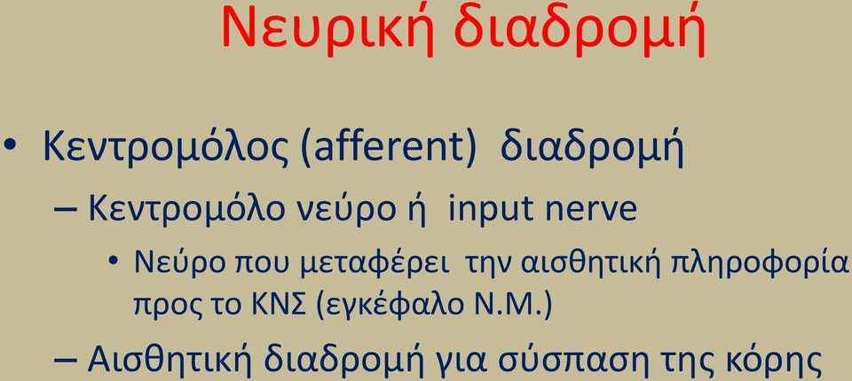 που μεταφζρει τθν αιςκθτικι πλθροφορία προσ το