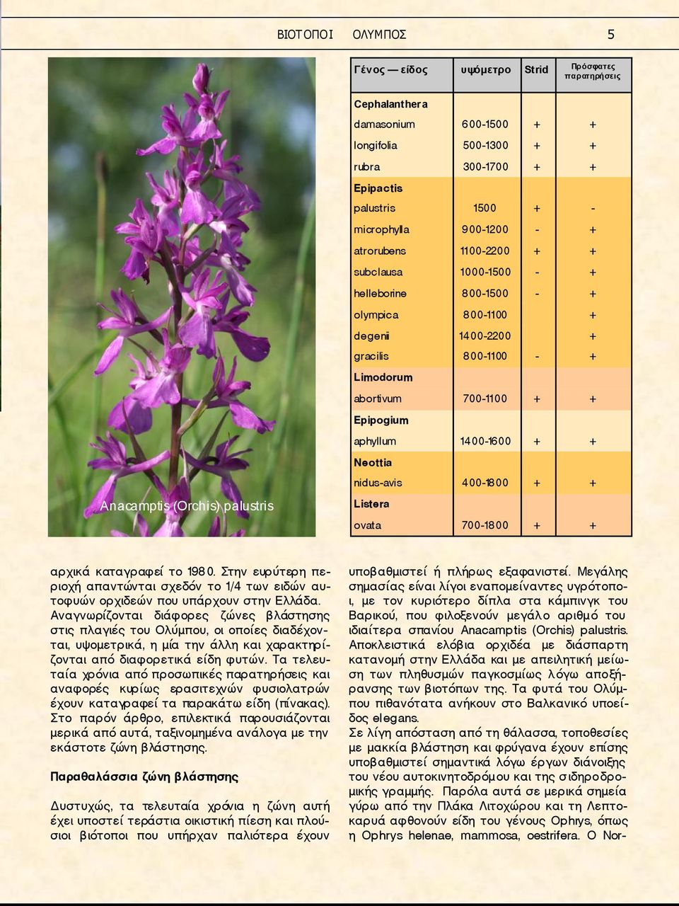 aphyllum 1400-1600 + + Neottia nidus-avis 400-1800 + + Anacamptis (Orchis) palustris Listera ovata 700-1800 + + αρχικά καταγραφεί το 198 0.