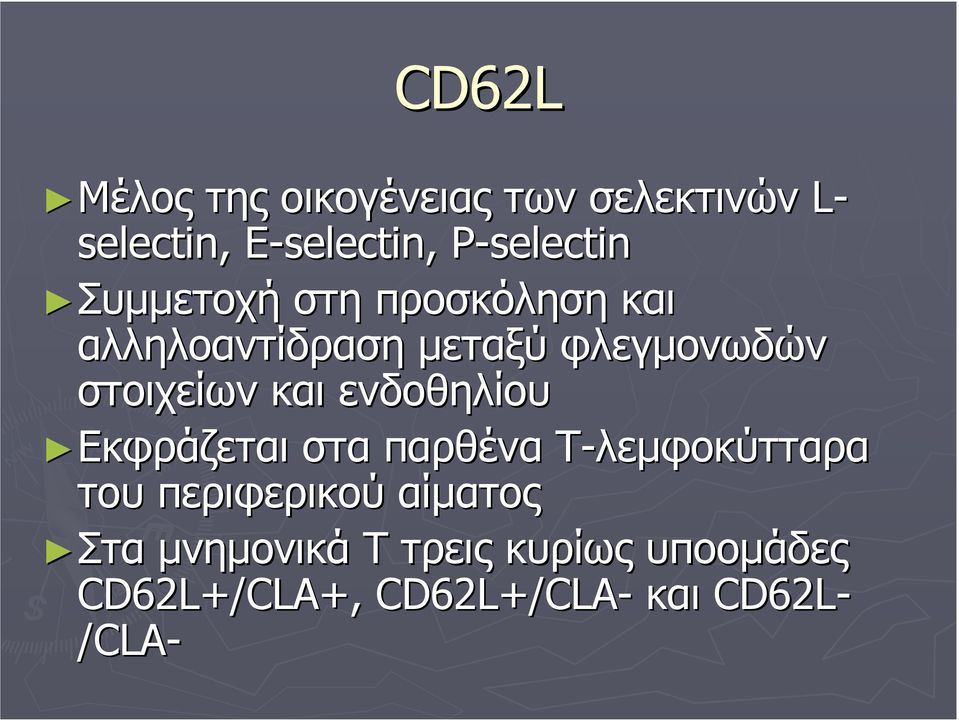 στοιχείων και ενδοθηλίου Εκφράζεται στα παρθένα Τ-λεµφοκύτταρα του περιφερικού