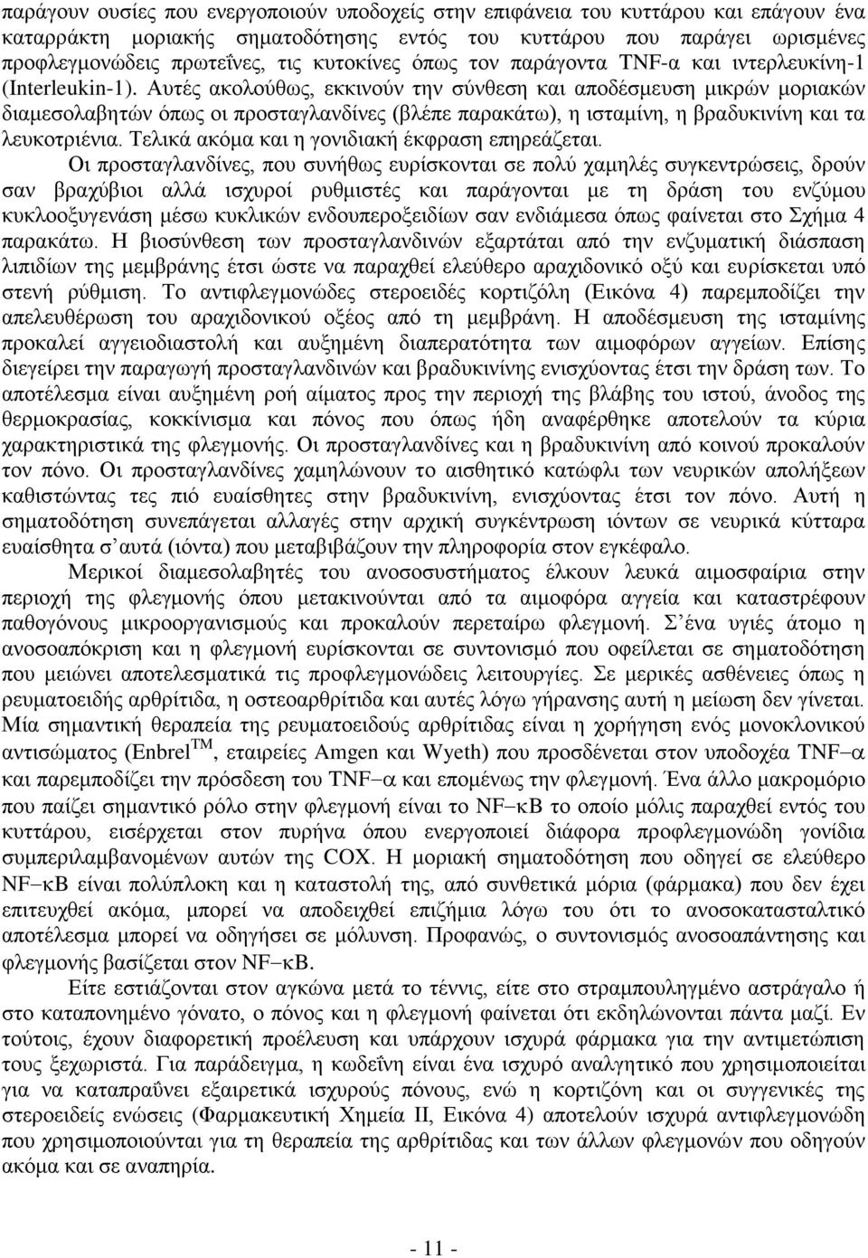 Αυτές ακολούθως, εκκινούν την σύνθεση και αποδέσμευση μικρών μοριακών διαμεσολαβητών όπως οι προσταγλανδίνες (βλέπε παρακάτω), η ισταμίνη, η βραδυκινίνη και τα λευκοτριένια.