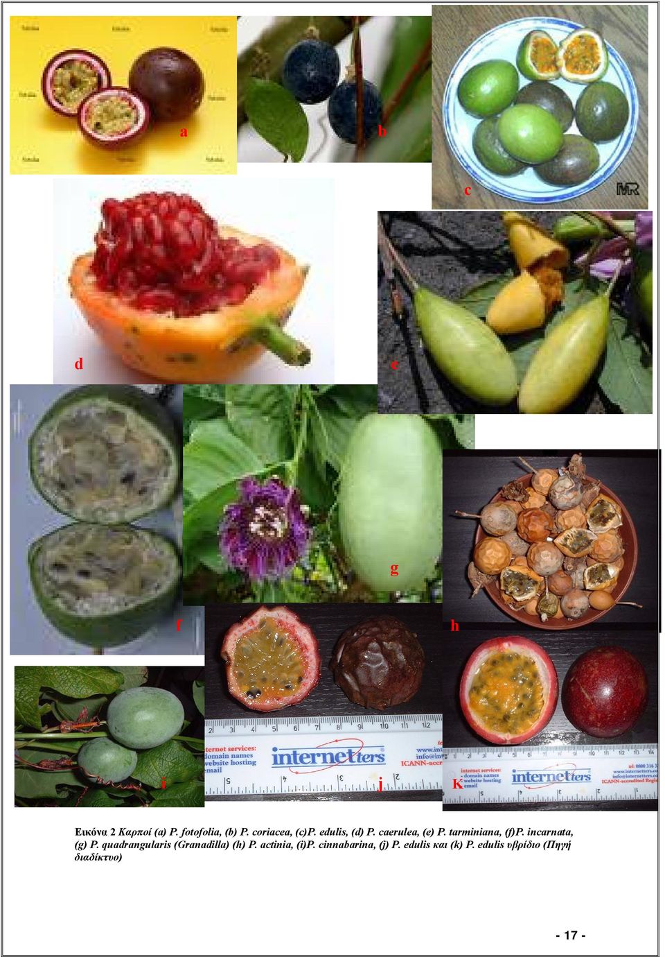 incarnata, (g) P. quadrangularis (Granadilla) (h) P. actinia, (i)p.