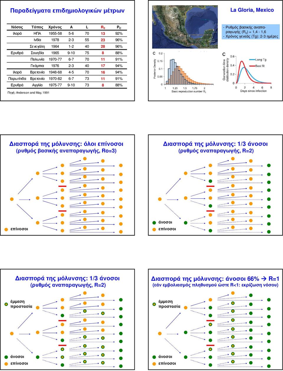 αναπαραγωγής (R 0 ) = 1,4-1,6 - Χρόνος γενεάς (Tg): 2-3 ηµέρες Πηγή: Anderson and May, 1991 Πηγή: Fraser C et al. Science, 29 June 2009.