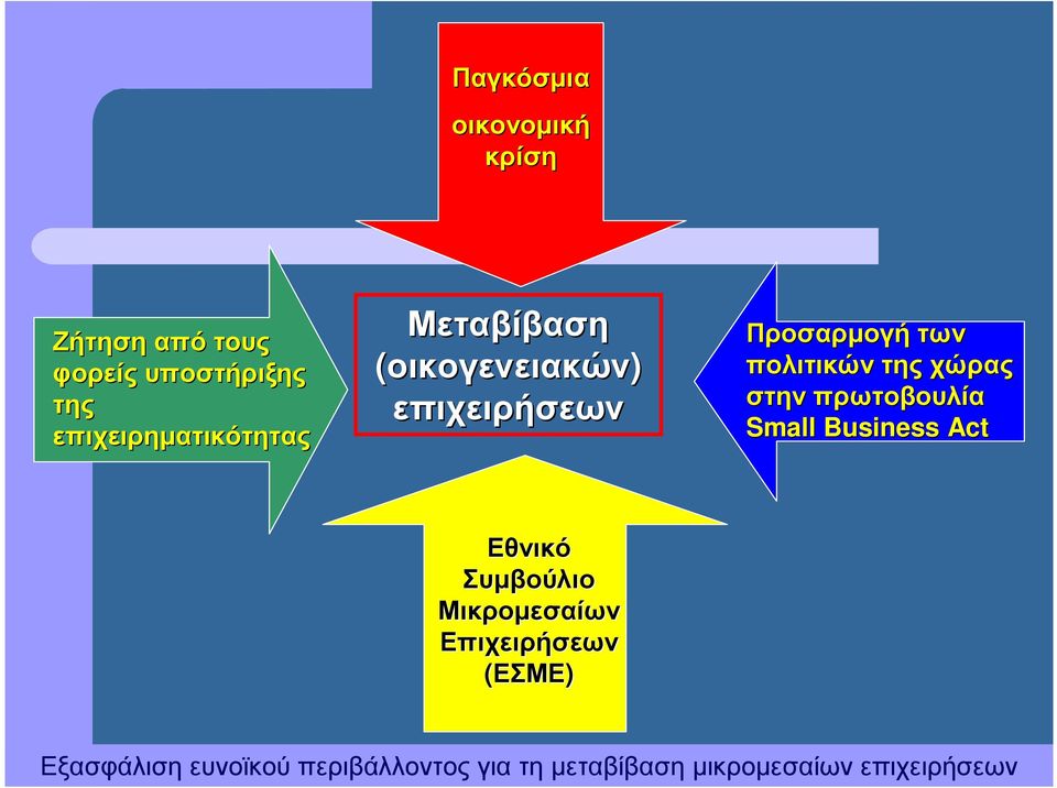 επιχειρήσεων Προσαρµογή των πολιτικών της χώρας στην