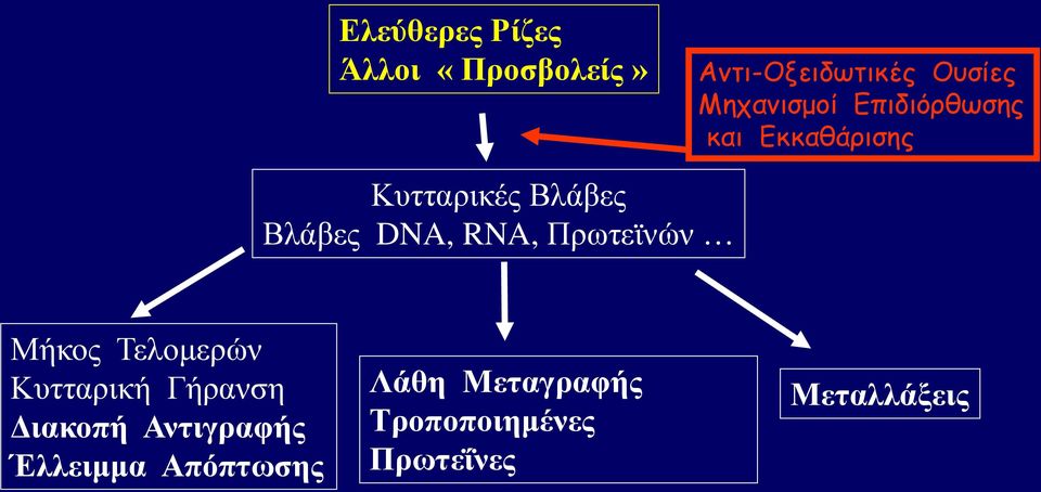 DNA, RNA, Πρωτεϊνών Μήκος Τελομερών Κυτταρική Γήρανση Διακοπή