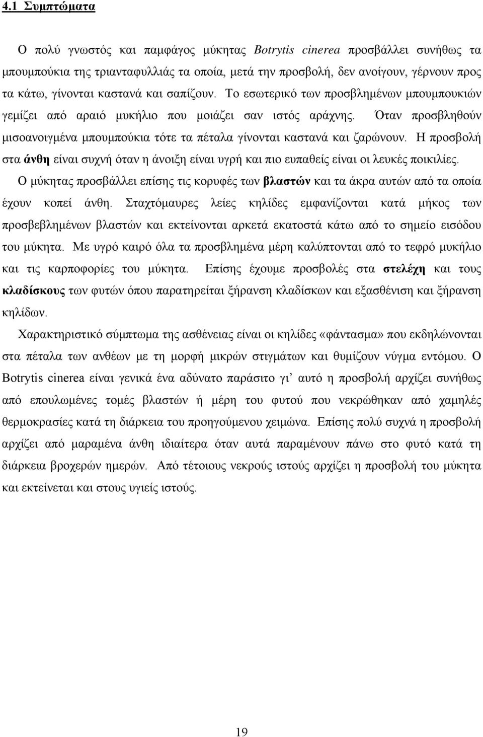 Όταν προσβληθούν μισοανοιγμένα μπουμπούκια τότε τα πέταλα γίνονται καστανά και ζαρώνουν. Η προσβολή στα άνθη είναι συχνή όταν η άνοιξη είναι υγρή και πιο ευπαθείς είναι οι λευκές ποικιλίες.