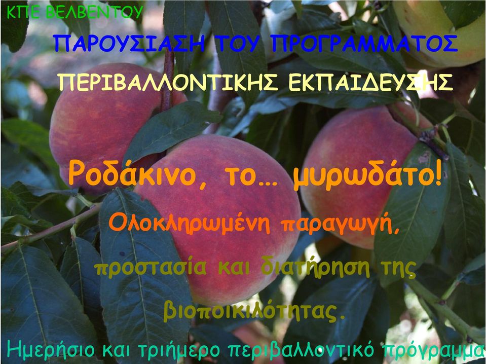Ολοκληρωμένη παραγωγή, προστασία και διατήρηση της