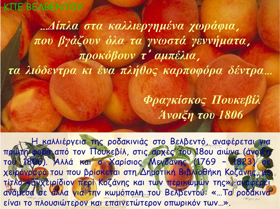 (άνοιξη του 1806).