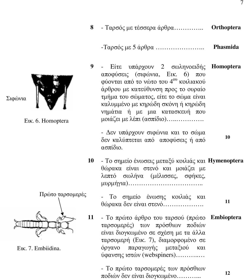 λέπι (ασπίδιο)... - Δεν υπάρχουν σιφώνια και το σώμα δεν καλύπτεται από αποφύσεις ή από ασπίδιο.