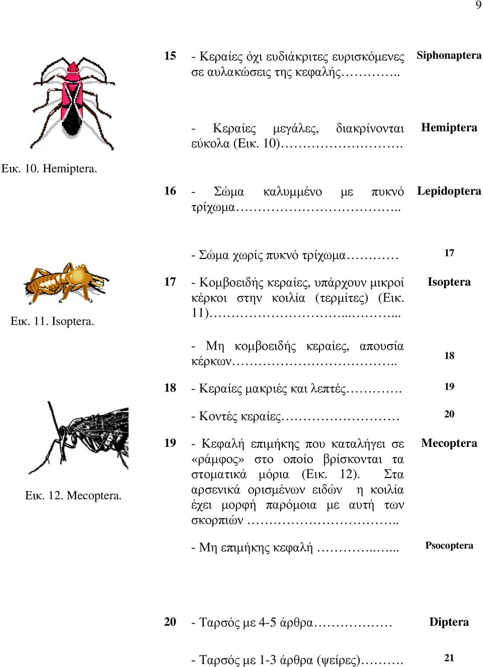 ..... - Μη κομβοειδής κεραίες, απουσία κέρκων.. Isoptera 18 18 - Κεραίες μακριές και λεπτές. 19 - Κοντές κεραίες 20 Εικ. 12. Mecoptera.