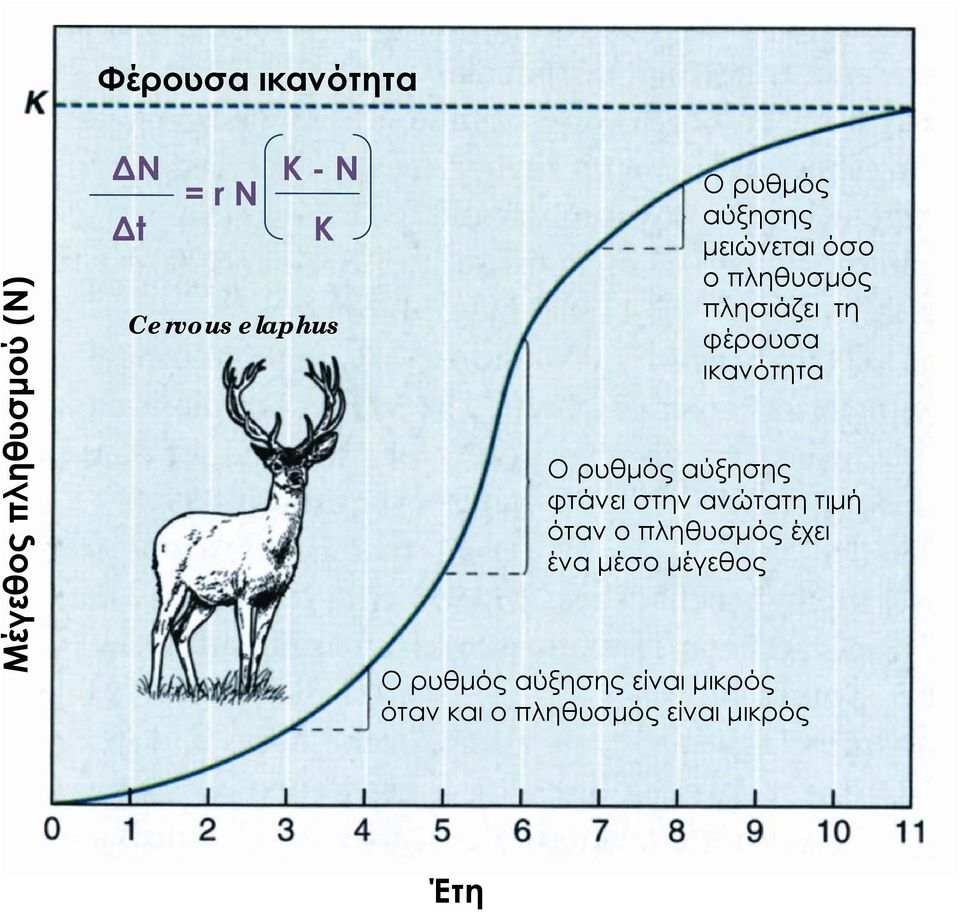 ικανότητα Ο ρυθμός αύξησης φτάνει στην ανώτατη τιμή όταν ο πληθυσμός έχει