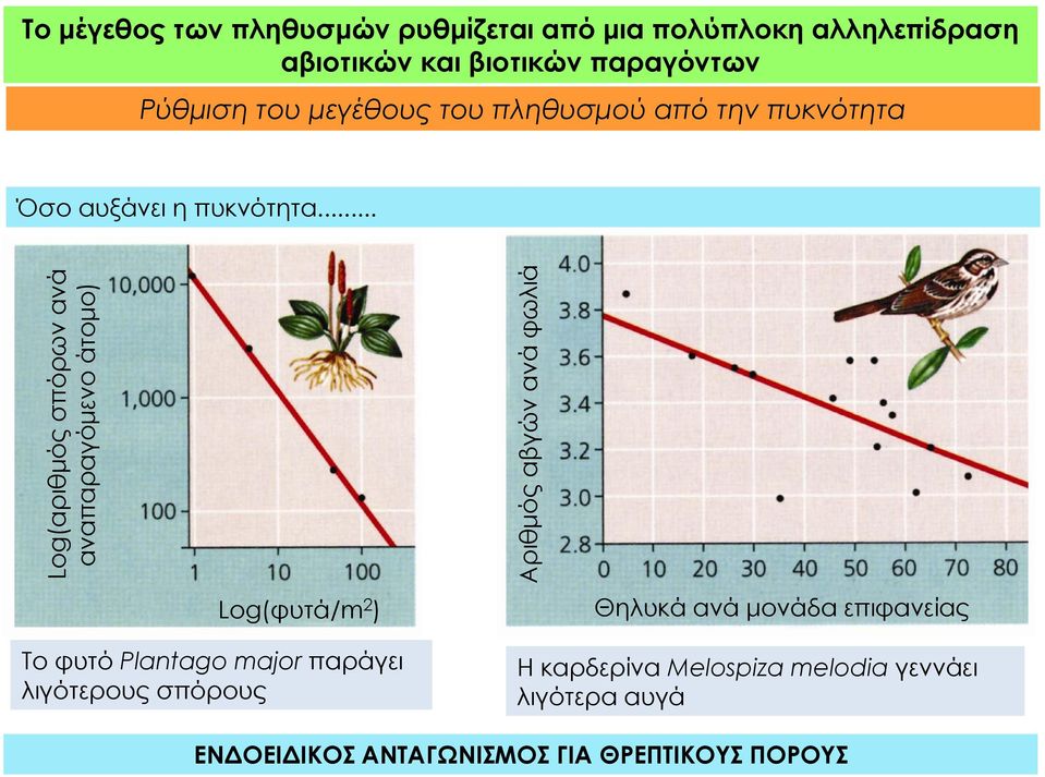 .. Log(αριθμός σπόρων ανά αναπαραγόμενο άτομο) Log(φυτά/m 2 ) Αριθμός αβγών ανά φωλιά Θηλυκά ανά μονάδα