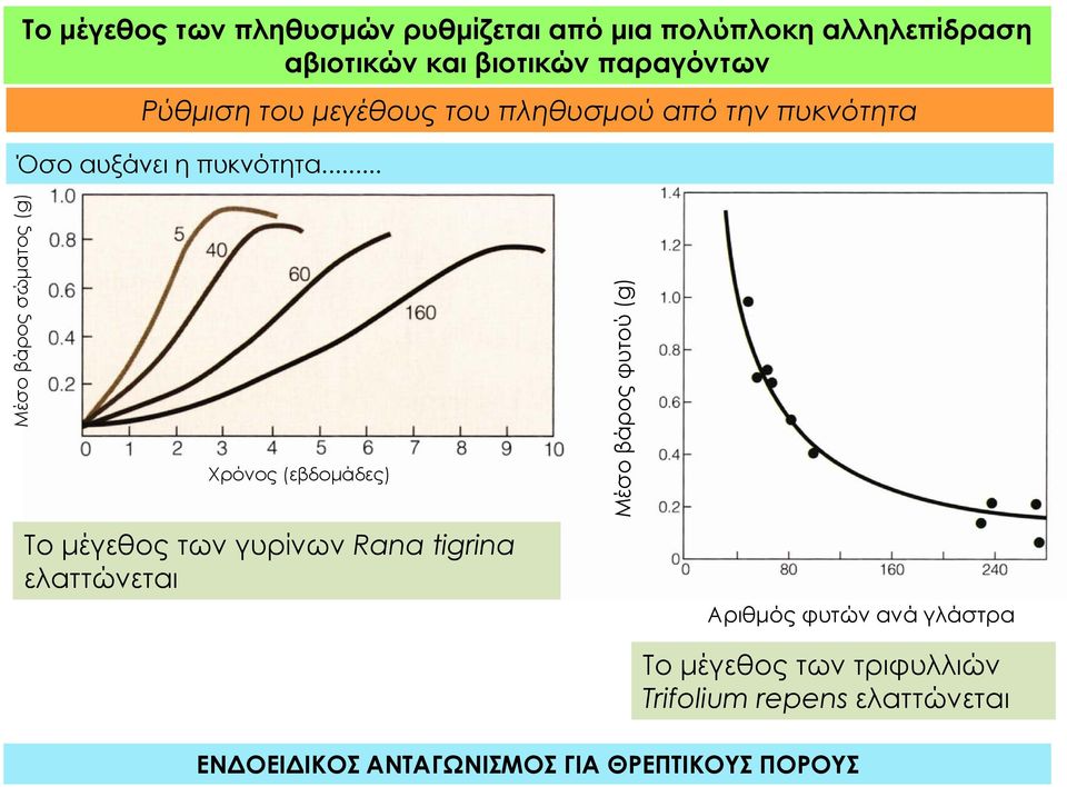 .. Μέσο βάρος σώματος (g) Χρόνος (εβδομάδες) Το μέγεθος των γυρίνων Rana tigrina ελαττώνεται Μέσο βάρος