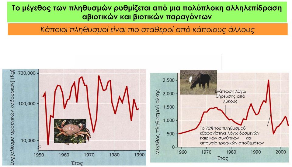 καβουριών] (Kg) Έτος Μέγεθος πληθυσμού άλκης Ελάττωση λόγω θήρευσης από λύκους Το 75% του