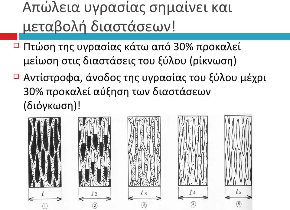 διαστάσεις του ξύλου (ρίκνωση) Αντίστροφα, άνοδος της