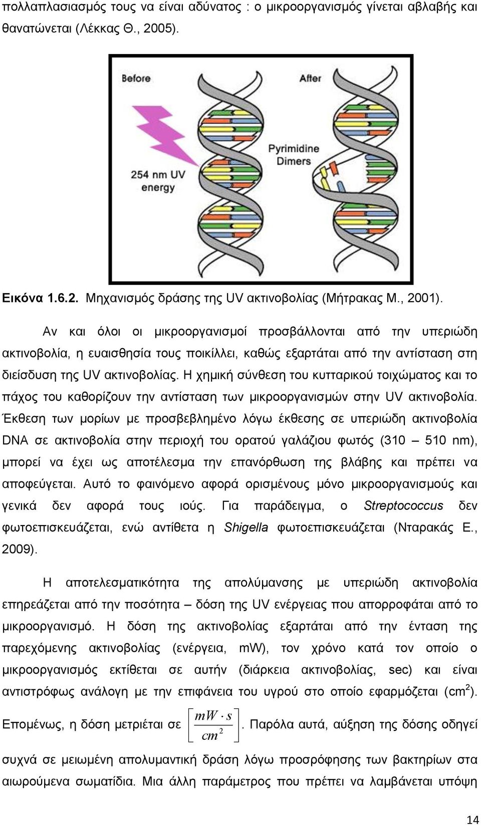 Η χημική σύνθεση του κυτταρικού τοιχώματος και το πάχος του καθορίζουν την αντίσταση των μικροοργανισμών στην UV ακτινοβολία.