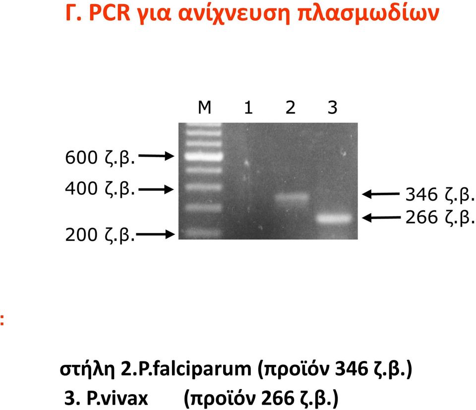 falciparum (προϊόν 346 η.