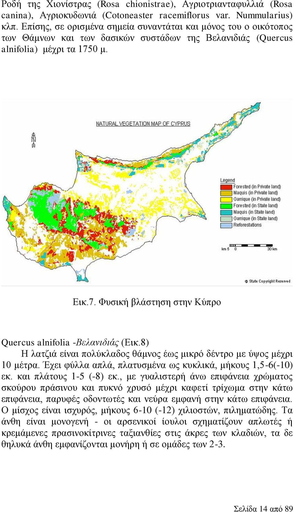 0 μ. Εικ.7. Φυσική βλάστηση στην Κύπρο Quercus alnifolia -Βελανιδιάς (Εικ.8) Η λατζιά είναι πολύκλαδος θάμνος έως μικρό δέντρο με ύψος μέχρι 10 μέτρα.