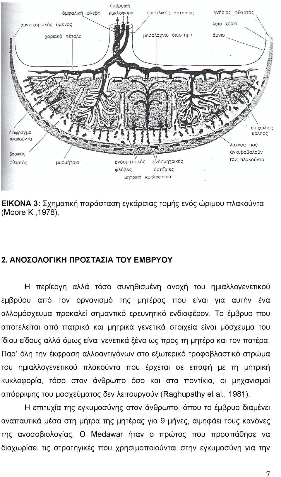 ενδιαφέρον. Το έμβρυο που αποτελείται από πατρικά και μητρικά γενετικά στοιχεία είναι μόσχευμα του ίδιου είδους αλλά όμως είναι γενετικά ξένο ως προς τη μητέρα και τον πατέρα.