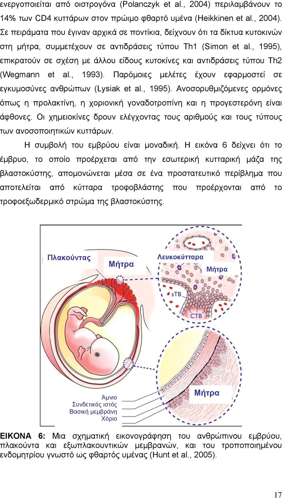 Οι χημειοκίνες δρουν ελέγχοντας τους αριθμούς και τους τύπους των ανοσοποιητικών κυττάρων. Η συμβολή του εμβρύου είναι μοναδική.