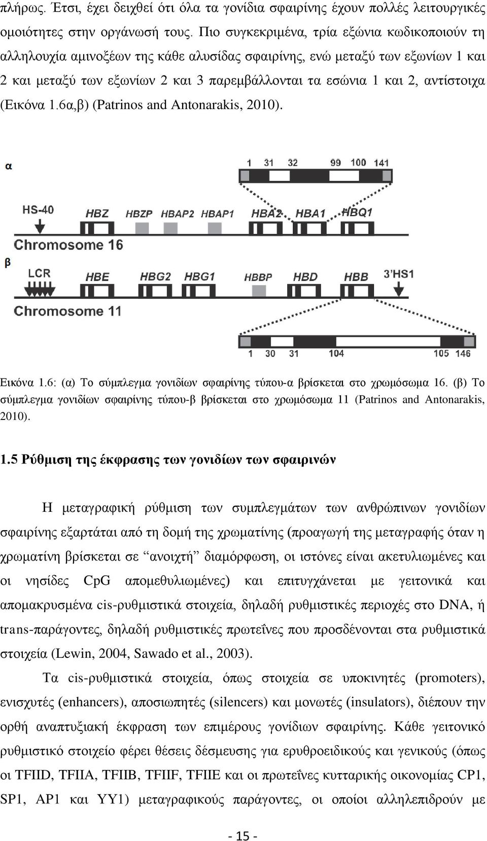 αντίστοιχα (Εικόνα 1.6α,β) (Patrinos and Antonarakis, 2010). Εικόνα 1.6: (α) Το σύμπλεγμα γονιδίων σφαιρίνης τύπου-α βρίσκεται στο χρωμόσωμα 16.