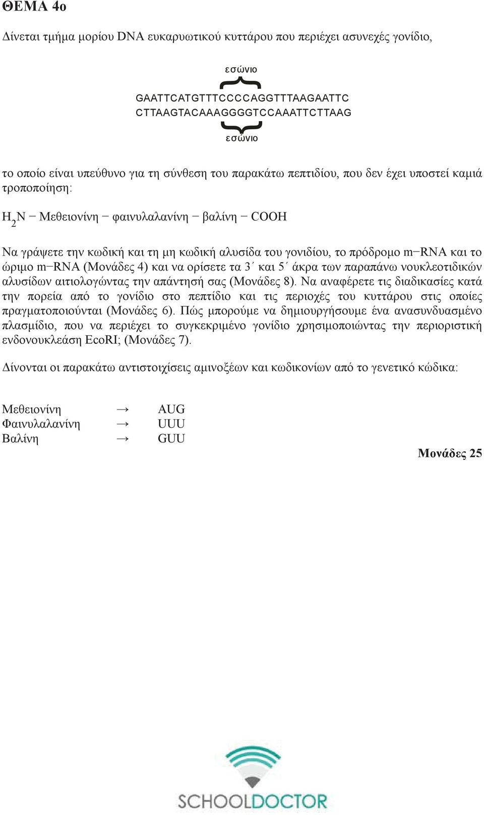 το ώριμο m RNA (Μονάδες 4) και να ορίσετε τα 3 και 5 άκρα των παραπάνω νουκλεοτιδικών αλυσίδων αιτιολογώντας την απάντησή σας (Μονάδες 8).