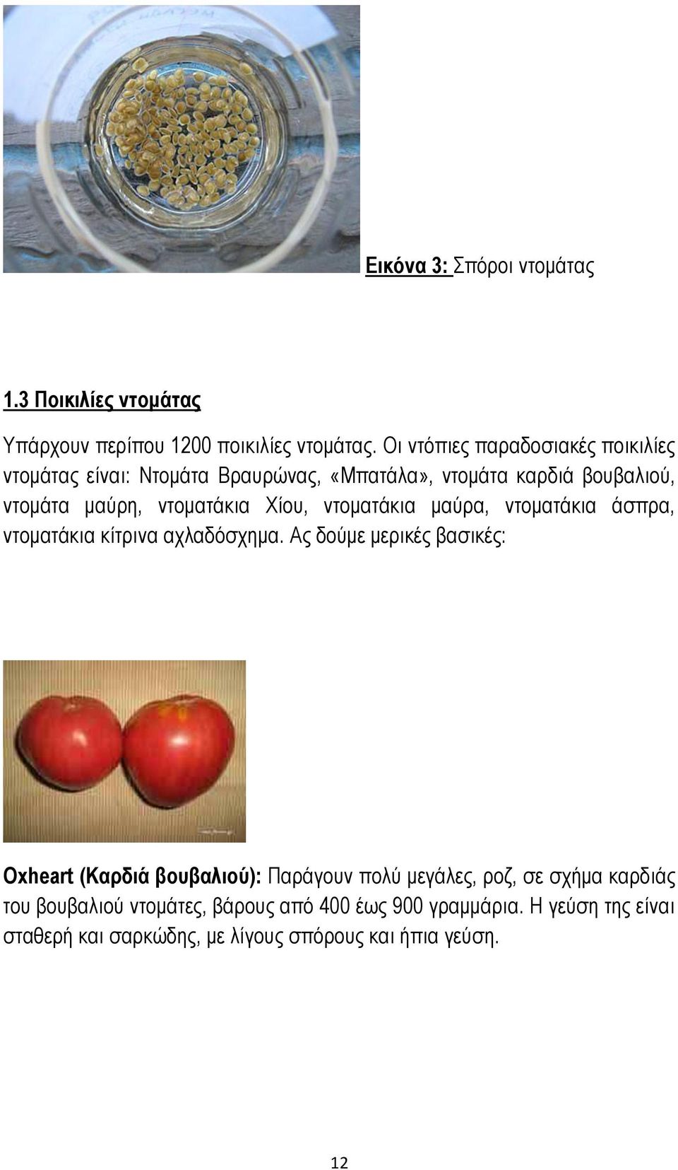 Χίου, ντοματάκια μαύρα, ντοματάκια άσπρα, ντοματάκια κίτρινα αχλαδόσχημα.
