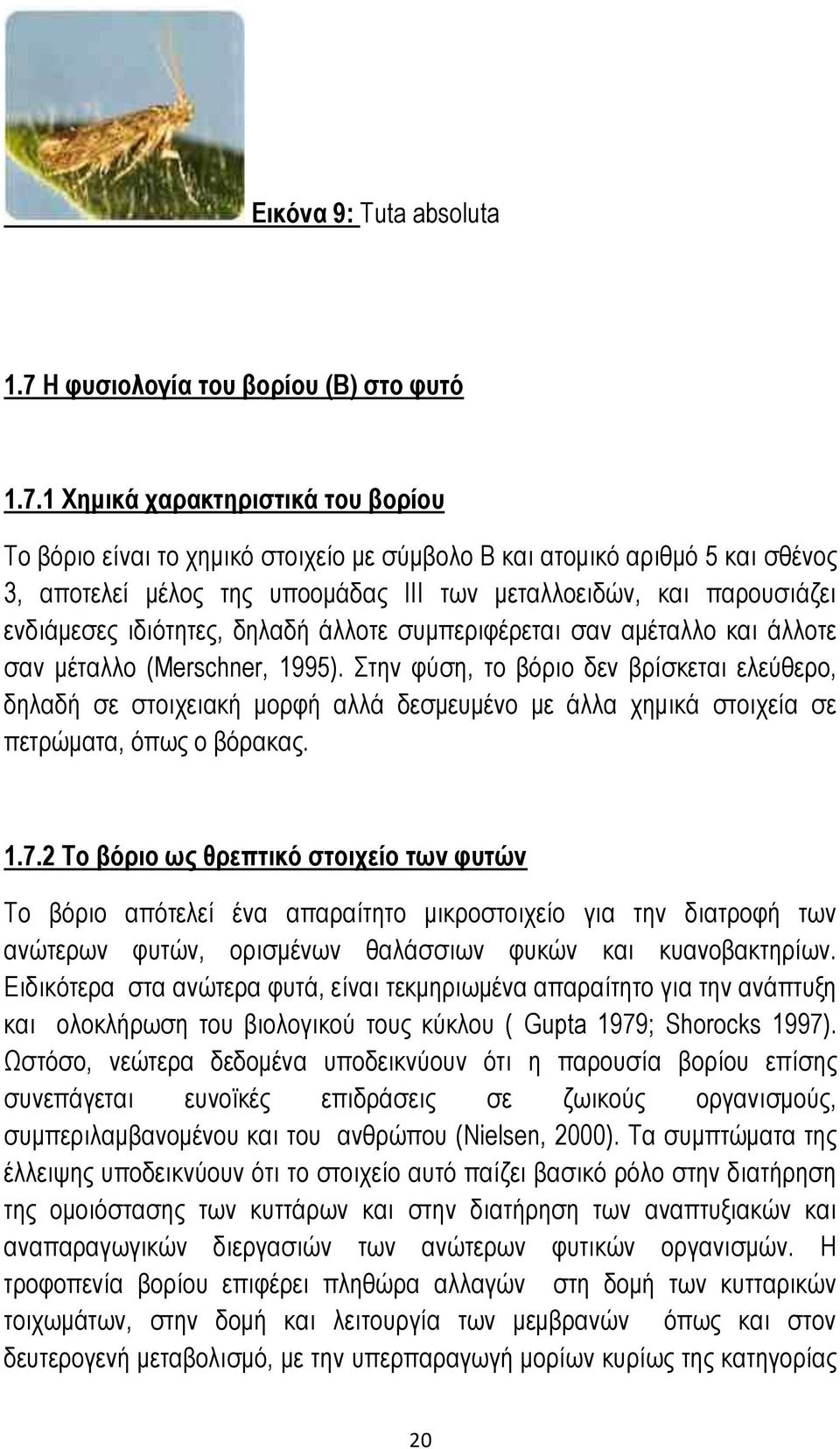 1 Χημικά χαρακτηριστικά του βορίου Το βόριο είναι το χημικό στοιχείο με σύμβολο Β και ατομικό αριθμό 5 και σθένος 3, αποτελεί μέλος της υποομάδας ΙΙΙ των μεταλλοειδών, και παρουσιάζει ενδιάμεσες