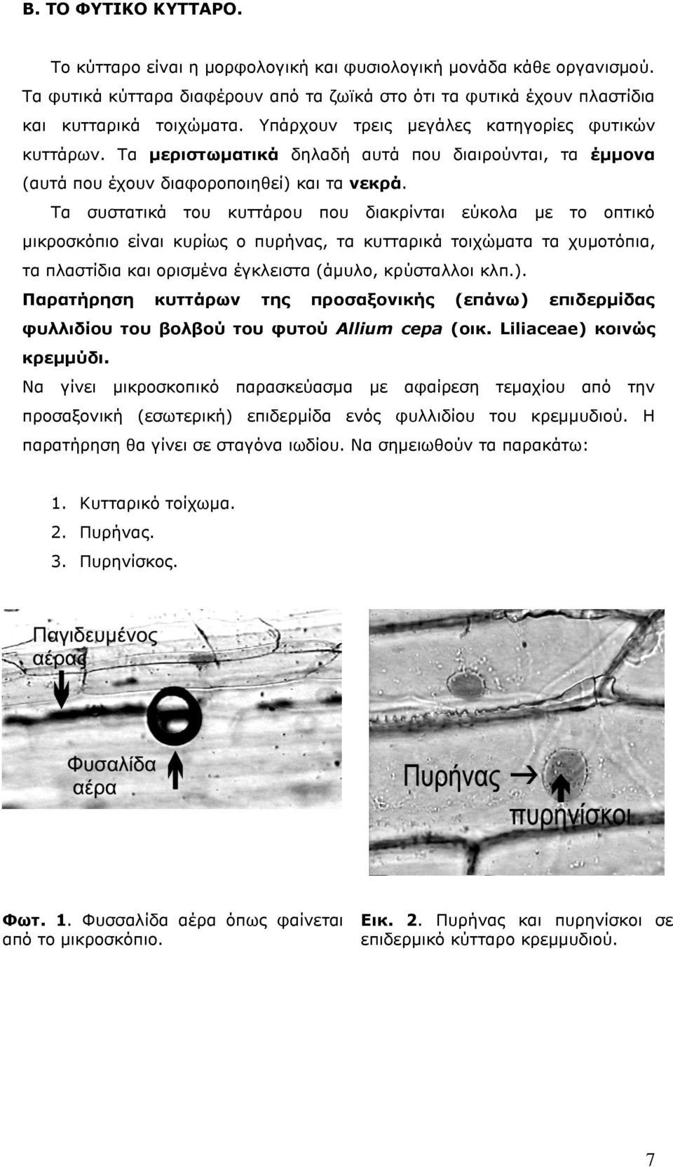 Τα συστατικά του κυττάρου που διακρίνται εύκολα με το οπτικό μικροσκόπιο είναι κυρίως ο πυρήνας, τα κυτταρικά τοιχώματα τα χυμοτόπια, τα πλαστίδια και ορισμένα έγκλειστα (άμυλο, κρύσταλλοι κλπ.).