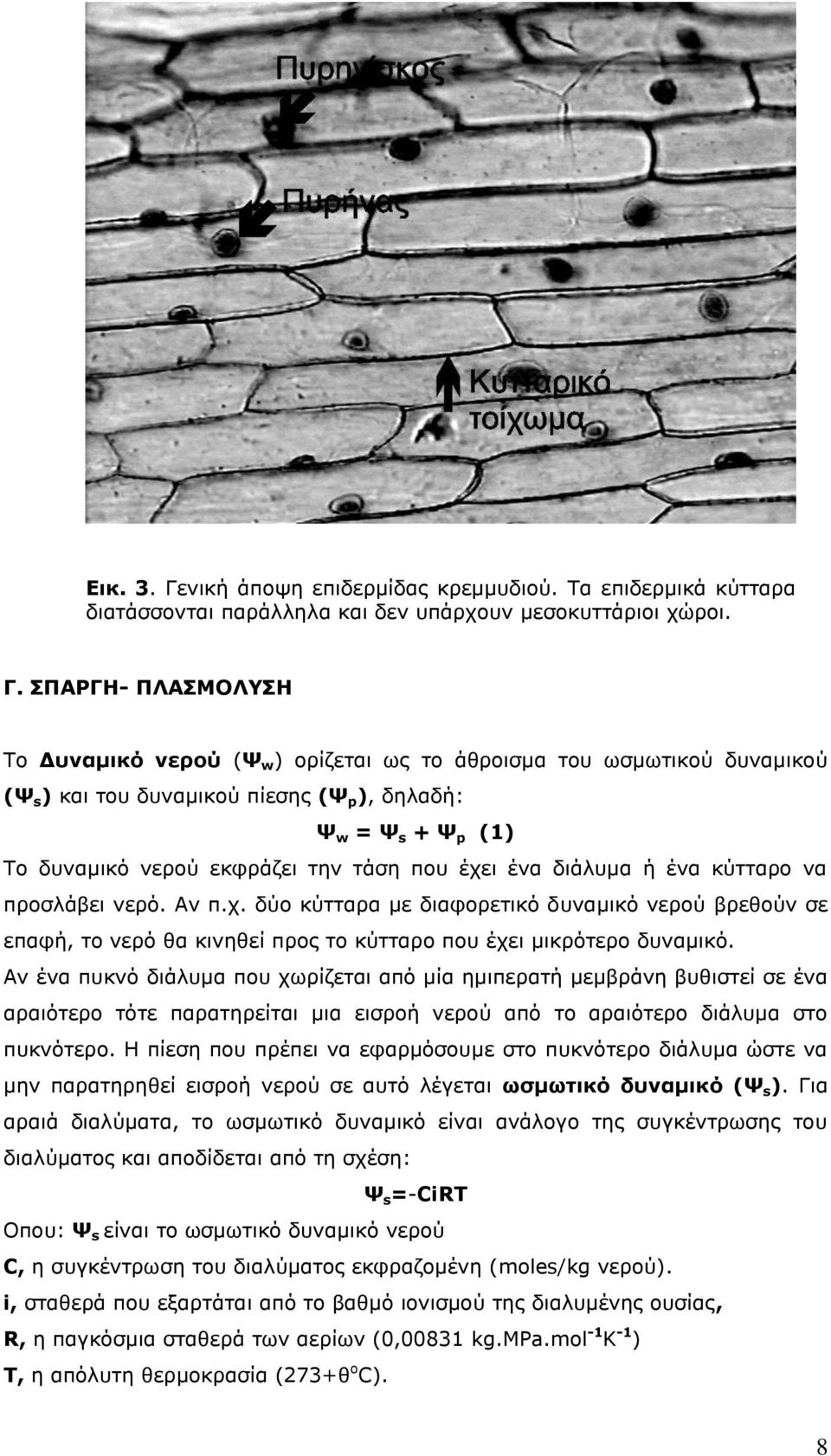 ΣΠΑΡΓΗ- ΠΛΑΣΜΟΛΥΣΗ Το Δυναμικό νερού (Ψ w ) ορίζεται ως το άθροισμα του ωσμωτικού δυναμικού (Ψ s ) και του δυναμικού πίεσης (Ψ p ), δηλαδή: Ψ w = Ψ s + Ψ p (1) Το δυναμικό νερού εκφράζει την τάση που