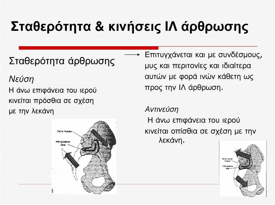 Επιτυγχάνεταικαιµεσυνδέσµους, µυς και περιτονίες και ιδιαίτερα