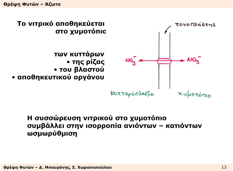 νιτρικού στο χυµοτόπιο συµβάλλει στην ισορροπία ανιόντων