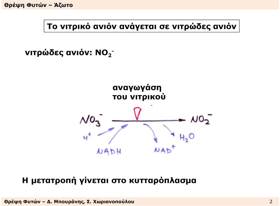 νιτρικού Η µετατροπή γίνεται στο