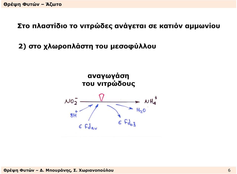 µεσοφύλλου αναγωγάση του νιτρώδους