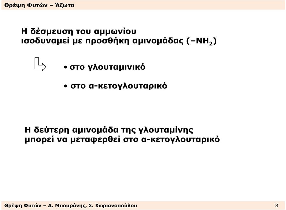 α-κετογλουταρικό Η δεύτερη αµινοµάδα της γλουταµίνης