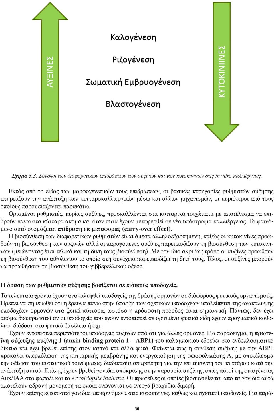 οποίους παρουσιάζονται παρακάτω.