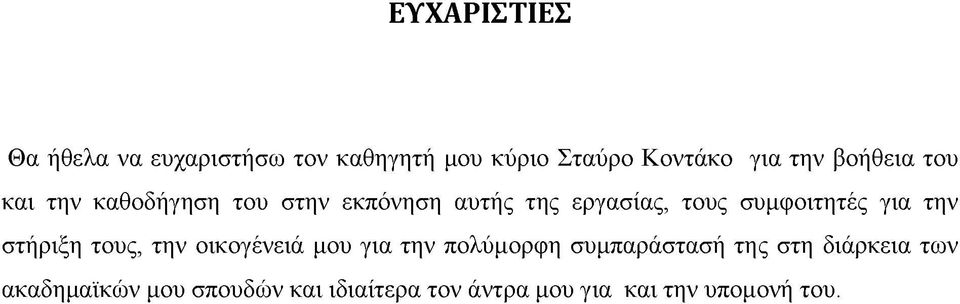 συμφοιτητές για την στήριξη τους, την οικογένειά μου για την πολύμορφη συμπαράστασή