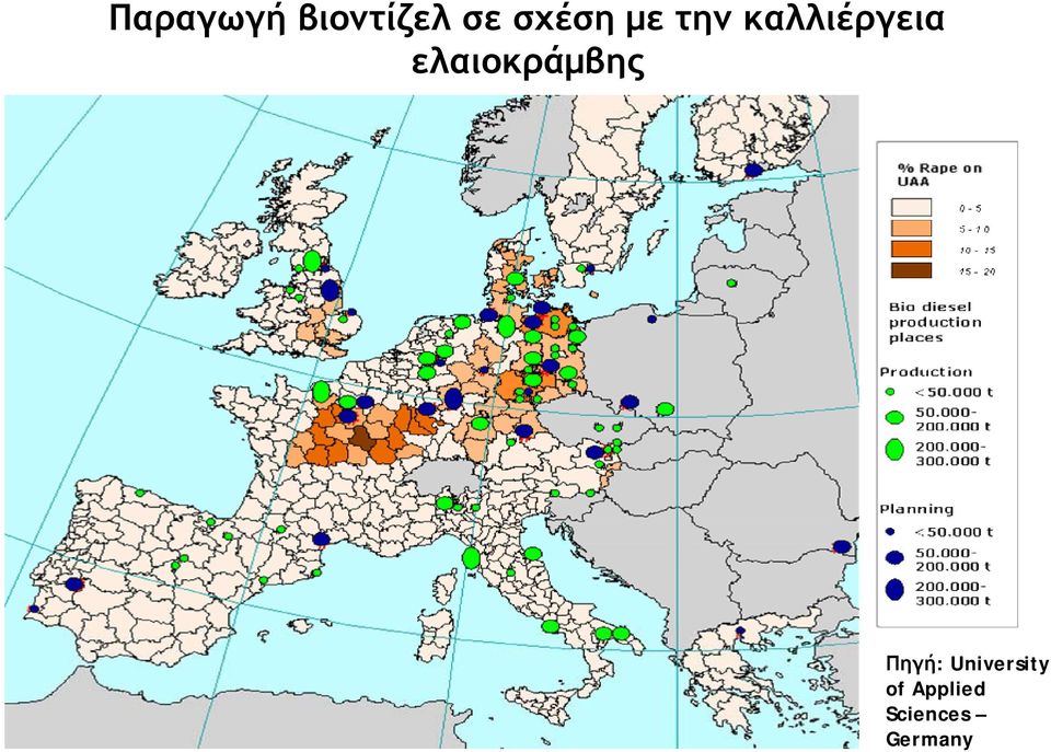 ελαιοκράμβης Πηγή: