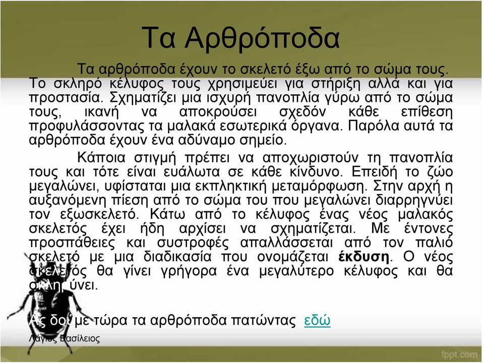 Κάποια στιγμή πρέπει να αποχωριστούν τη πανοπλία τους και τότε είναι ευάλωτα σε κάθε κίνδυνο. Επειδή το ζώο μεγαλώνει, υφίσταται μια εκπληκτική μεταμόρφωση.