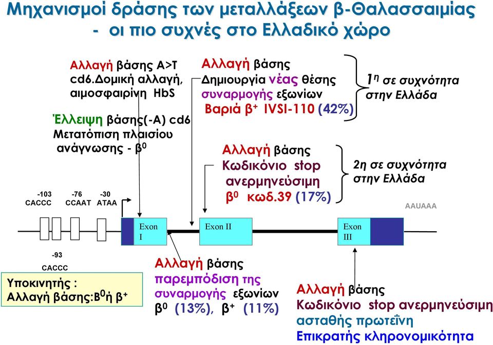 συναρμογής εξωνίων Βαριά β + IVSI-110 (42%) Αλλαγή βάσης Κωδικόνιο stop ανερμηνεύσιμη β 0 κωδ.