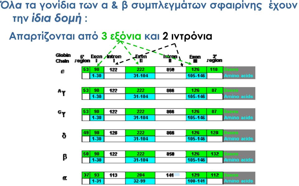 έχουν την ίδια δομή :