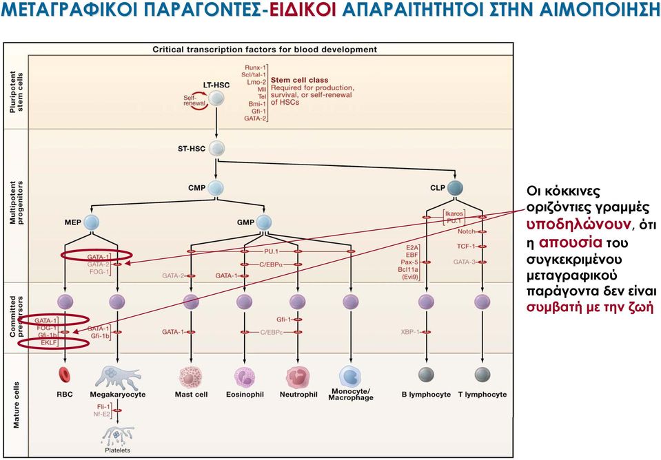 οριζόντιες γραμμές υποδηλώνουν, ότι η απουσία του