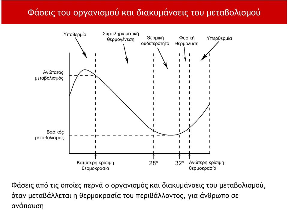 οργανισμός και διακυμάνσεις του μεταβολισμού, όταν