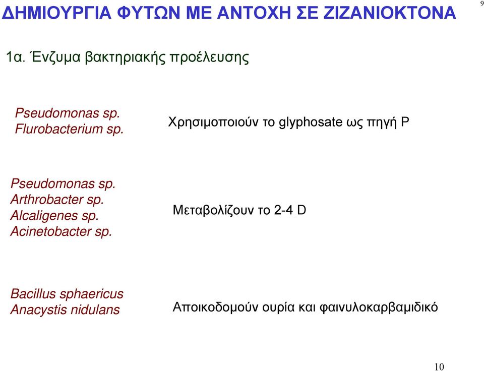 Alcaligenes sp. Acinetobacter sp.